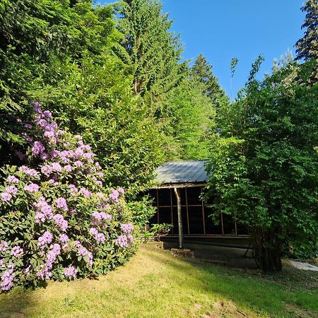 Chalet De La Foret 1 A 6 Pers Saint-Sauveur  Εξωτερικό φωτογραφία