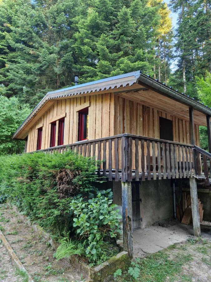 Chalet De La Foret 1 A 6 Pers Saint-Sauveur  Εξωτερικό φωτογραφία