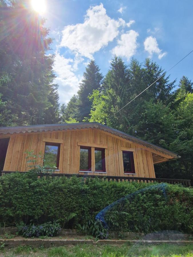Chalet De La Foret 1 A 6 Pers Saint-Sauveur  Εξωτερικό φωτογραφία