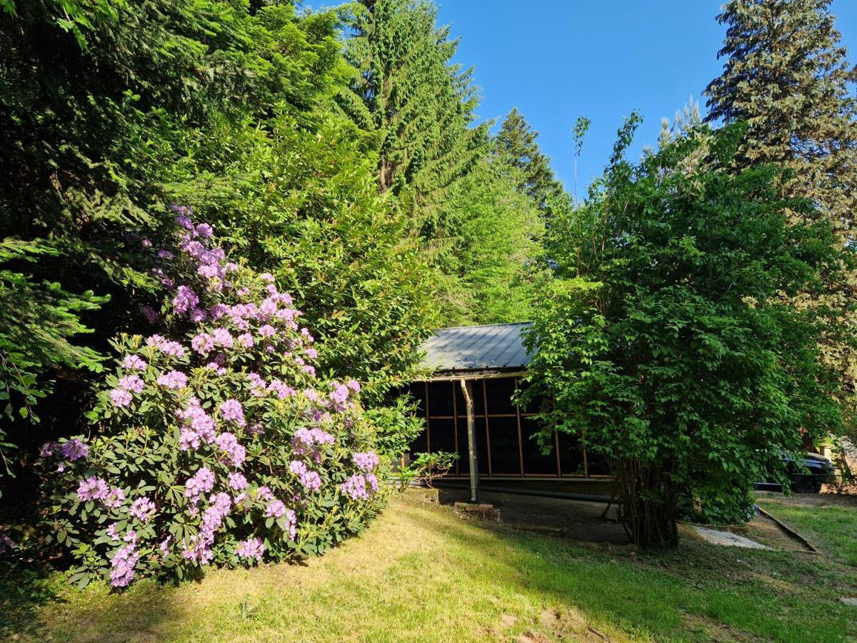 Chalet De La Foret 1 A 6 Pers Saint-Sauveur  Εξωτερικό φωτογραφία